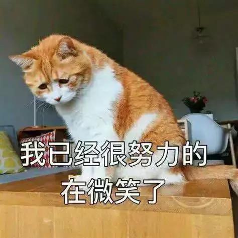 再上3天班就放假但有坏消息,再上两天班放假回家过年