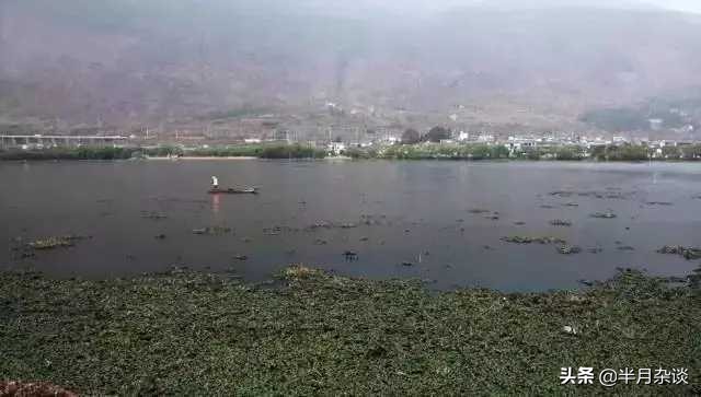 洱海被拆掉的那些海景客栈,洱海整顿还能游洱海吗