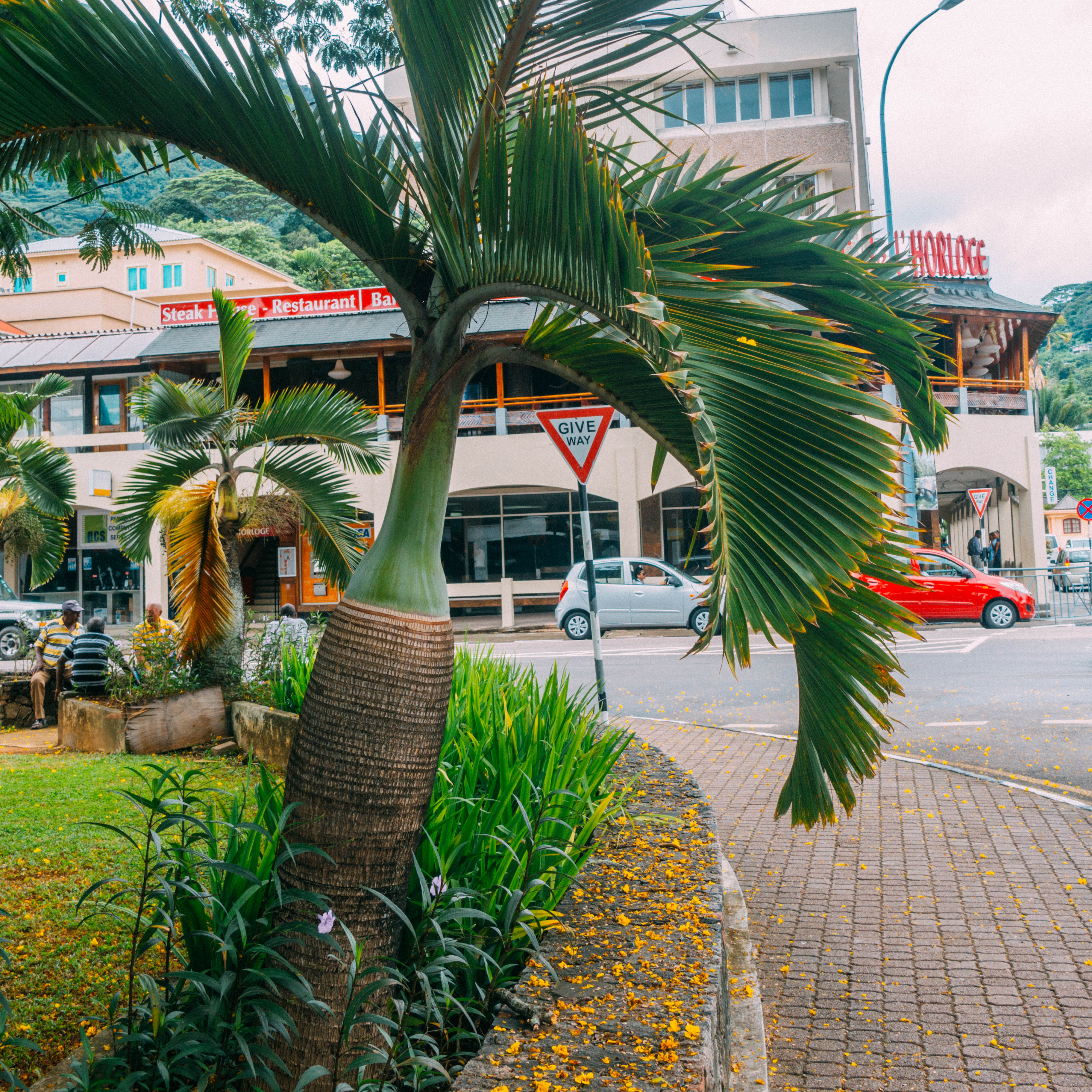 塞舌尔12天自助游攻略,塞舌尔旅行攻略