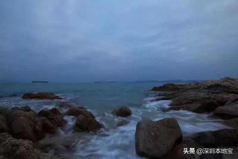 深圳免费的景点有哪些地方,深圳有哪些免费又好玩的地方景点