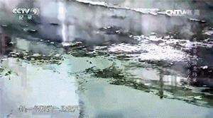 鐧藉啺鍐扮粨杩囧嚑娆″,鐧藉啺鍐颁抚濂宠儗鍚庣殑鏁呬簨