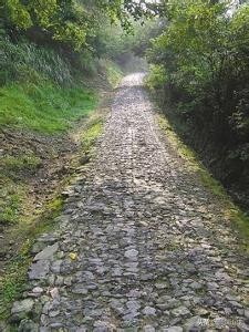 阿拉宁波特色菜,阿拉宁波潮玩