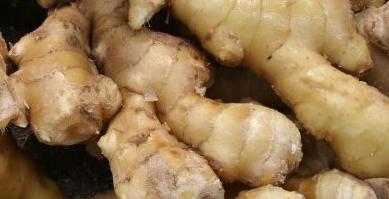 游四方全部视频,游四方四川