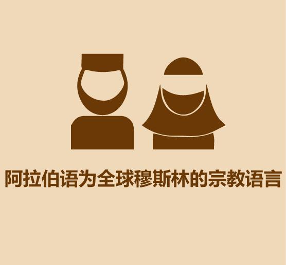 几分钟学会阿拉伯文,30分钟学会阿拉伯语