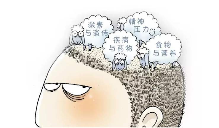 发际线保卫战视频,正式打响发际线保卫战