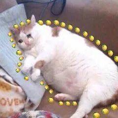 吃瓜一词由来,吃瓜一词的来历