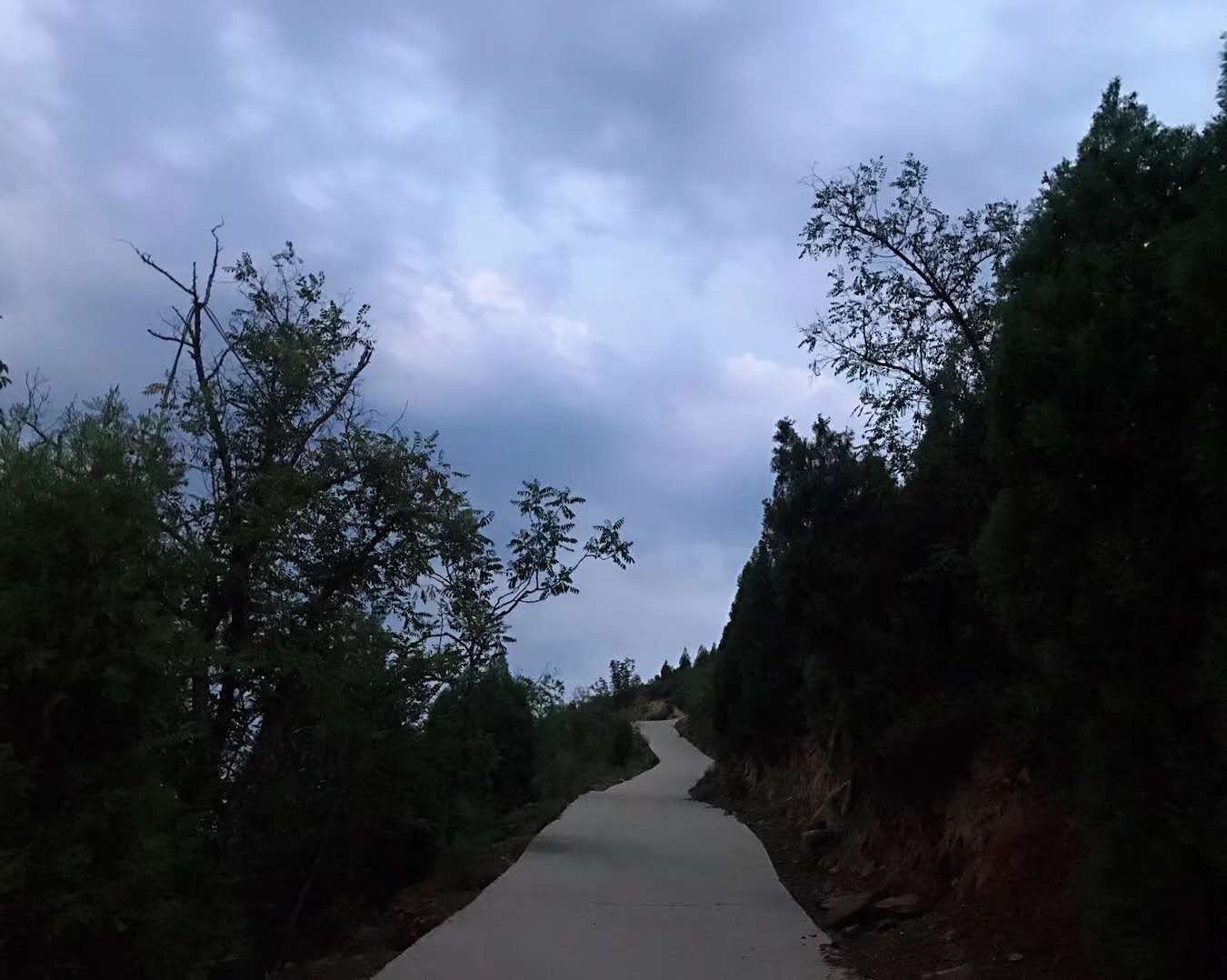 大西北甘青环线旅游游记,甘青宁蒙四省经典环线6日游