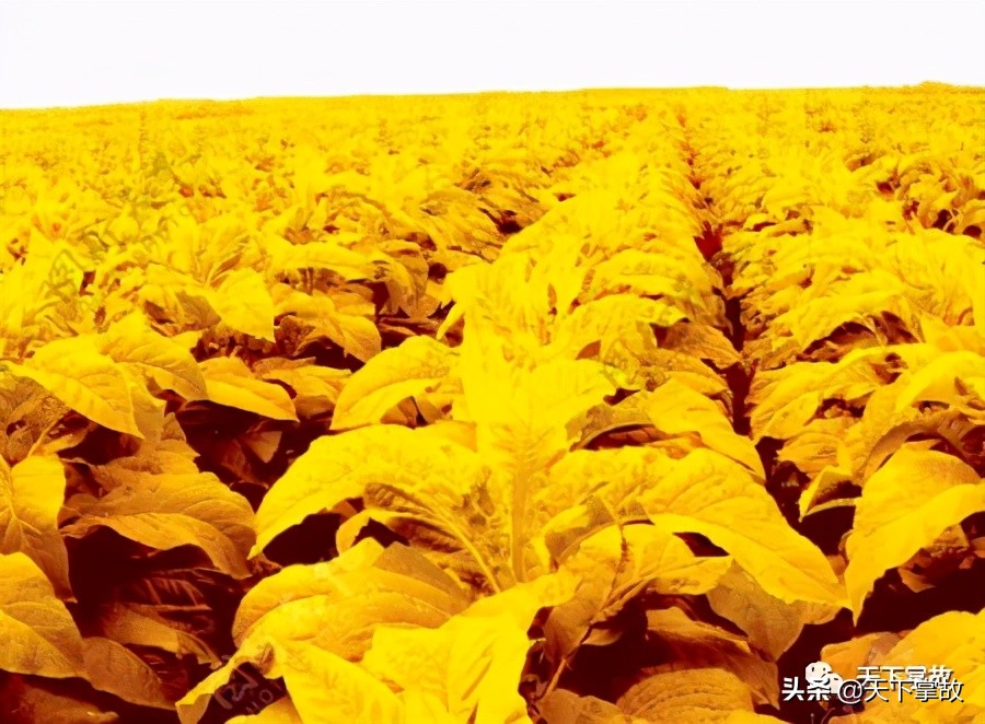 璧ゅ嘲璁板繂鍥剧墖,璧ゅ嘲璁板繂鐩綍