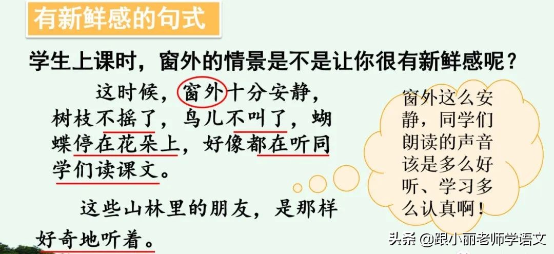 大青树下的小学重要背诵内容,大青树下的小学重点知识点