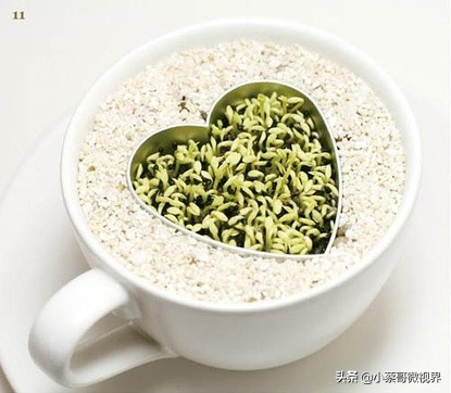 吃完的水果种子不要丢,吃完水果果核别扔