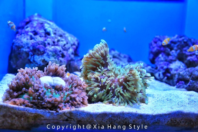 横店梦幻谷水世界有奥特曼,横店梦幻谷水世界摩天轮