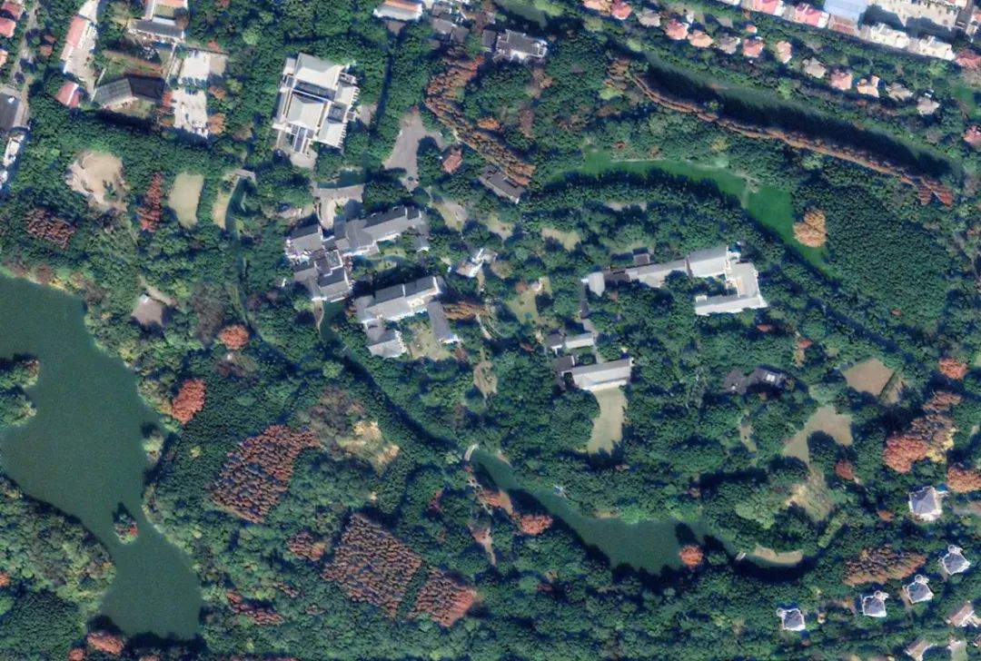 上海大虹桥板块的发展,上海大虹桥好不好