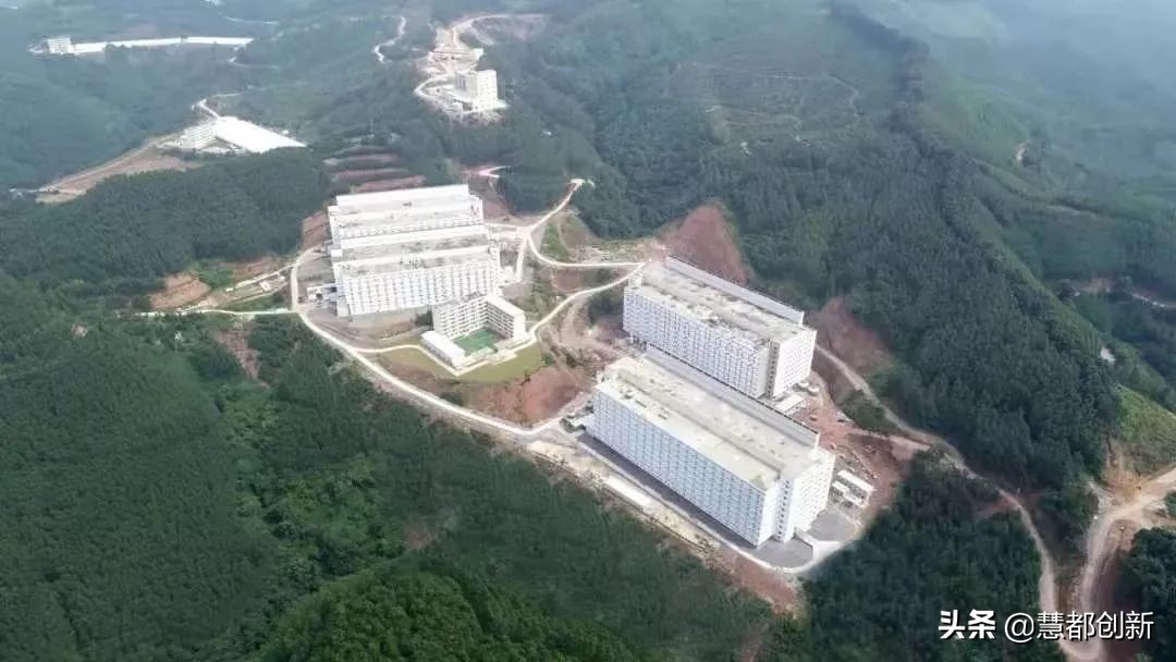 楼房养猪发展方向,楼房养猪最好的模式