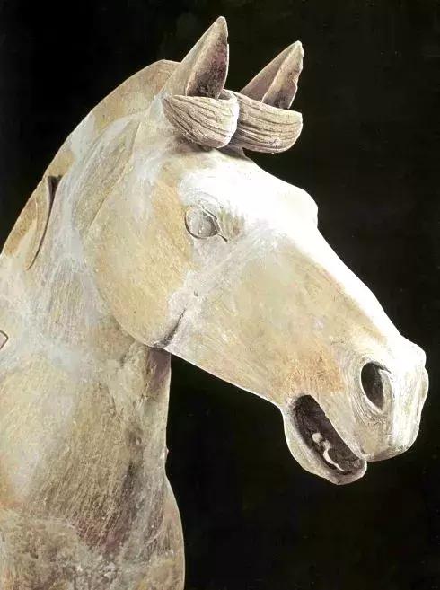 兵马俑文官俑解说,兵马俑解说员马导