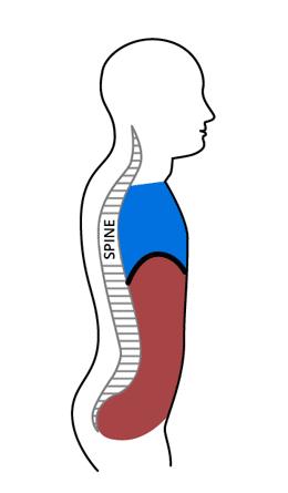 没时间去健身房怎么学瑜伽,没有午休快速恢复的瑜伽动作