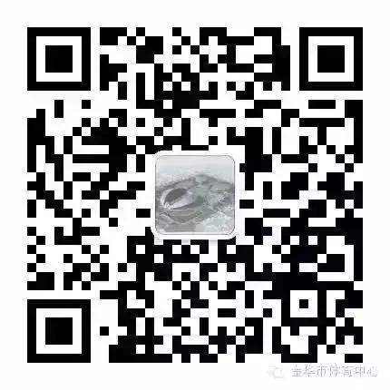 浙江省青少年足球锦标赛2016,浙江省青少年男子足球乙组锦标赛