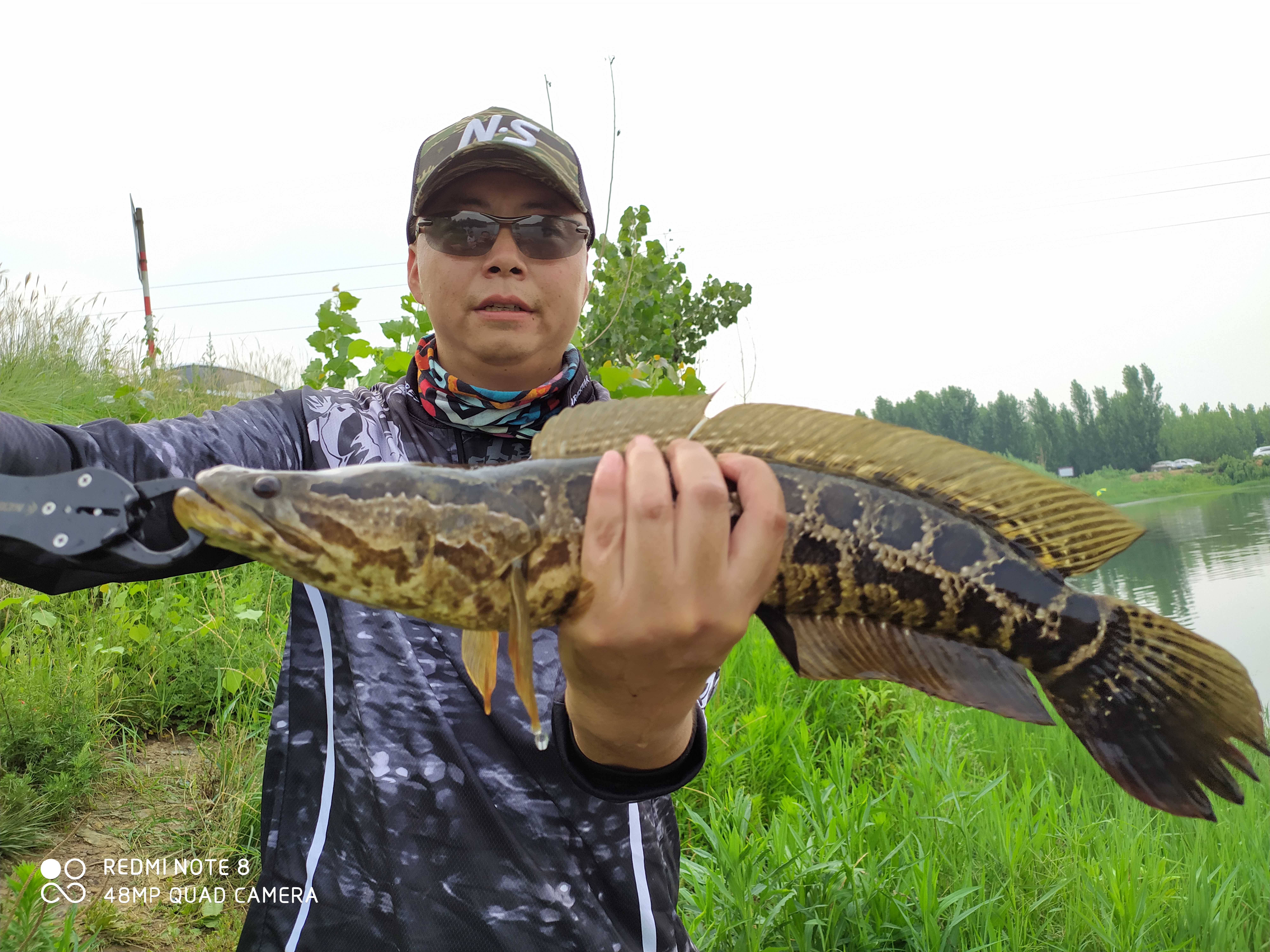 雷强控蛙手法教学,路亚钓黑鱼入门教程雷蛙系法