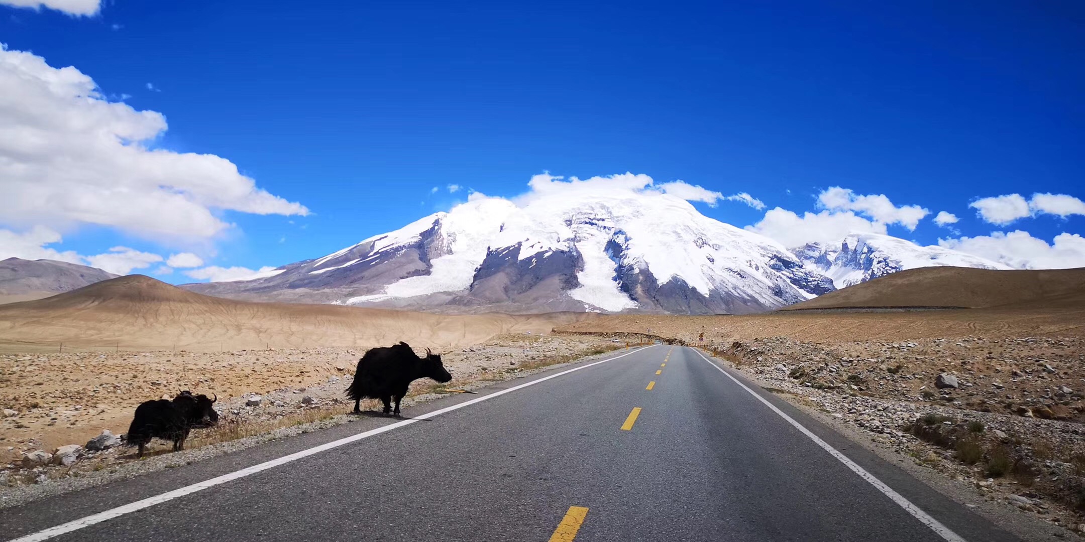 自驾新疆进疆需要注意什么,自驾出新疆最新规定