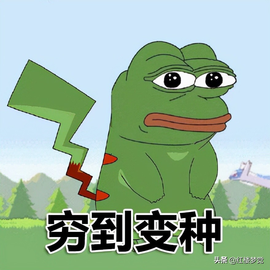 红楼梦是一部什么样的小说,红楼梦是纪实小说吗