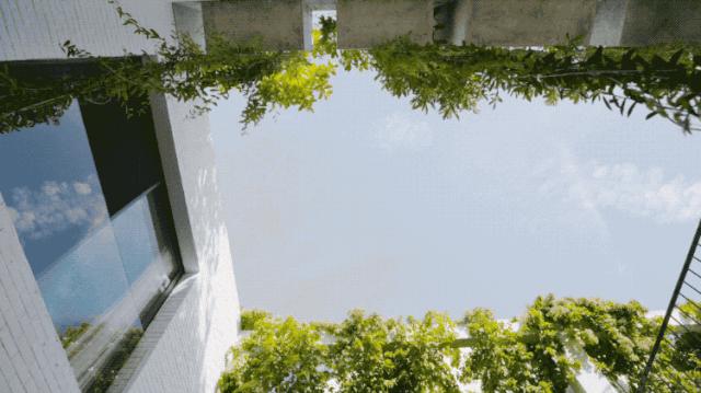 他花150万造零消耗的家，不开空调和网络：家人互动，不该隔着网