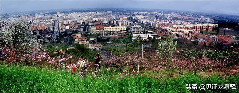 回顾龙泉驿百年变迁简报,龙泉驿区发展展望