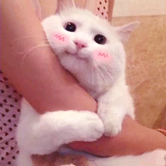 想学唱歌0基础,跟着学唱歌如何练习唱k