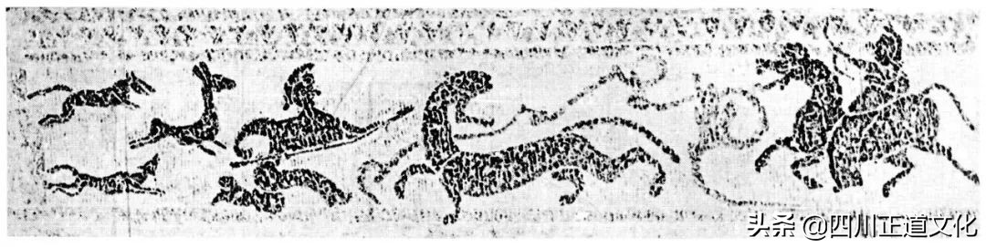 猫的故事,猫的故事视频