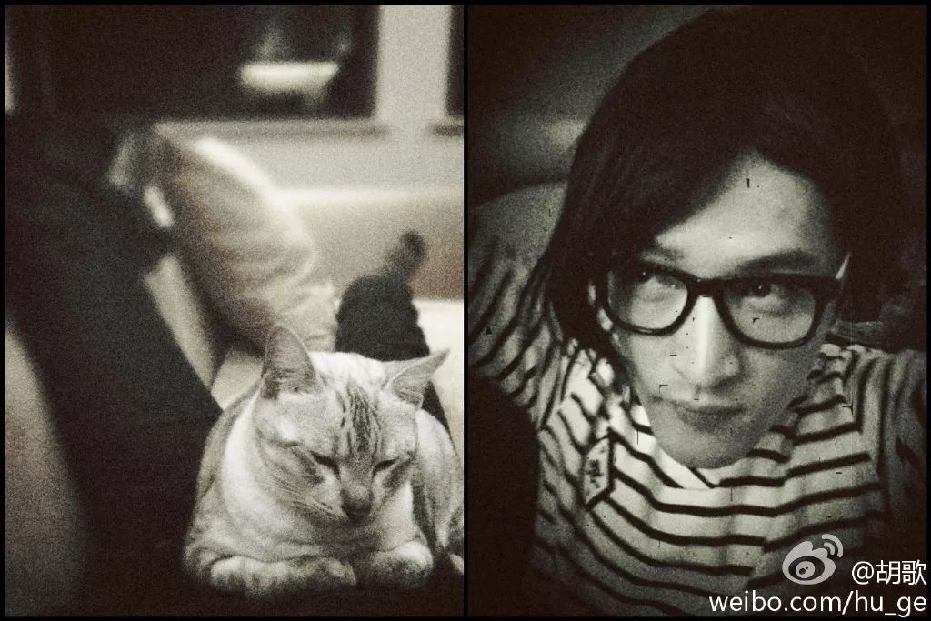 胡歌彭于晏和我,胡歌我和我的父辈