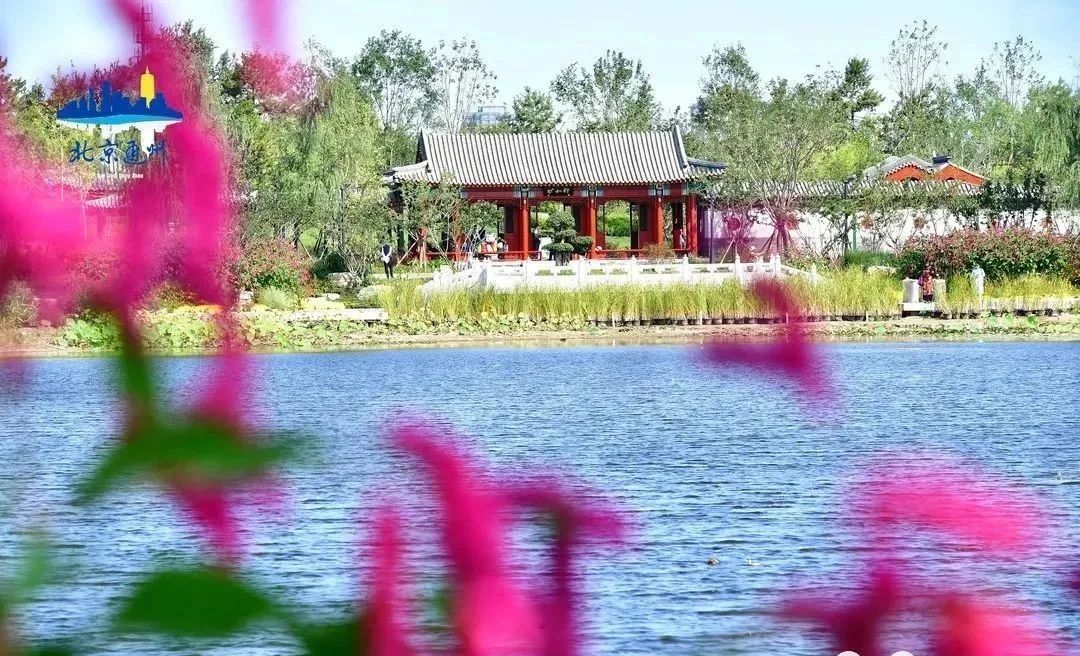 北京大型室内儿童游乐场,北京露天游乐场地设计