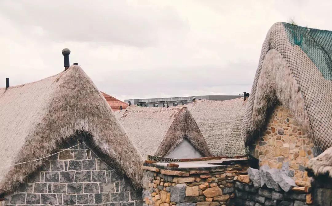 中国最美苏式私人院子,中国式老院子