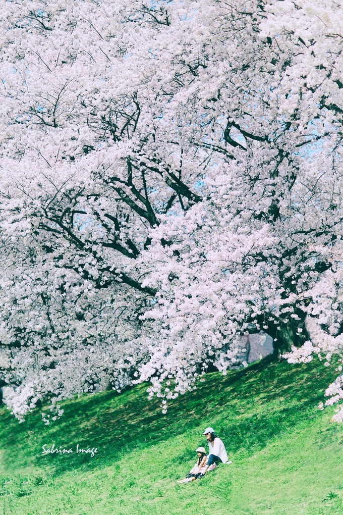 出国旅游担心语言问题,出国旅游预订机票口语