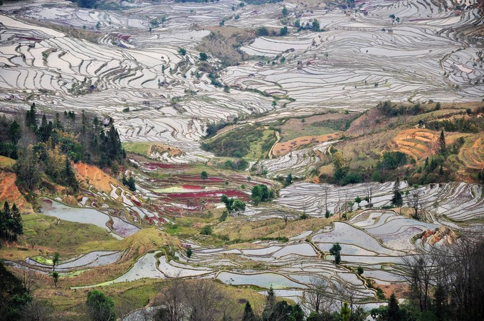 红河梯田和元阳梯田面积,元阳梯田也叫红河哈尼梯田