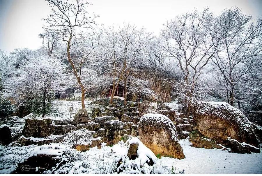 遵义金鼎山雪景,雪景景区推荐遵义
