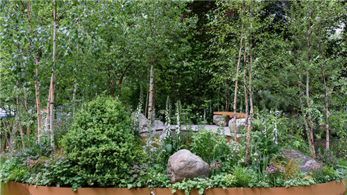 切尔西花展举办,2020年切尔西花展抢先看