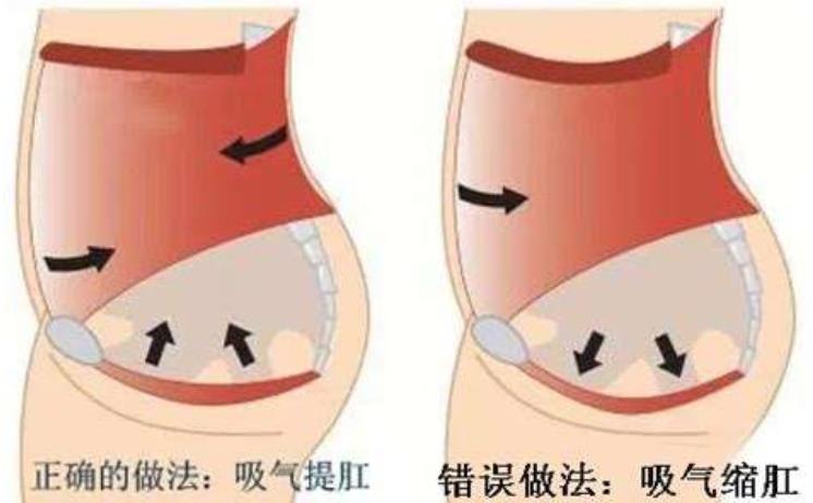 天枢穴治便秘穴位,董氏奇穴治疗大便秘结的穴位