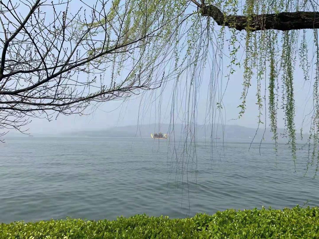 美爆了的画质,美爆了完整视频