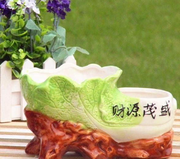 什么陶瓷花盆最好,陶瓷花盆养什么好