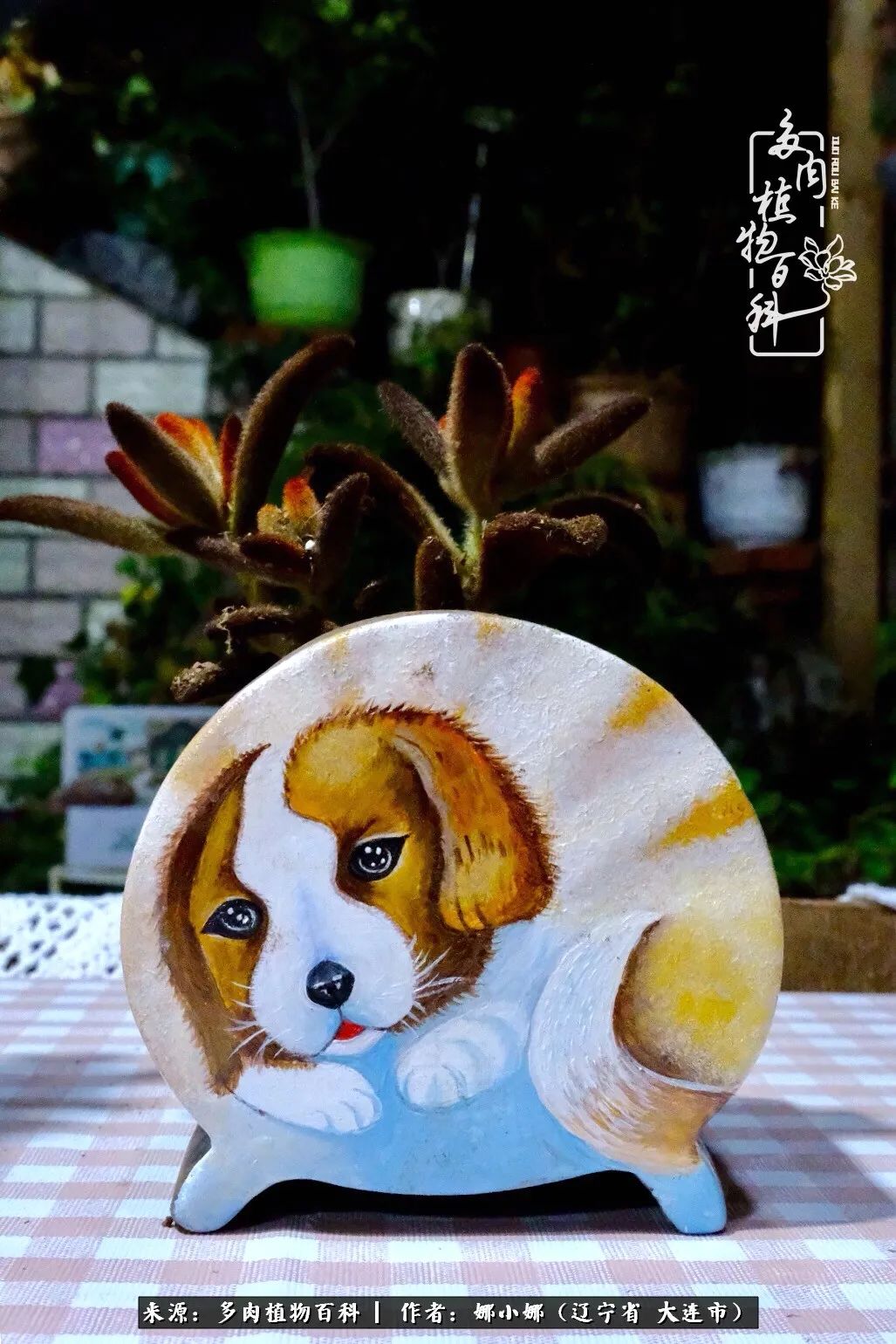 你是盆我是花，你护我周全，我为你绽放