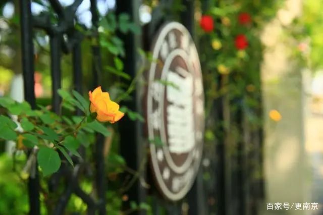 2020年南京高中排名,南京高中排名2020