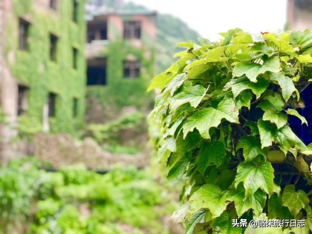 误入绿野仙踪秘境,探索舟山无人村