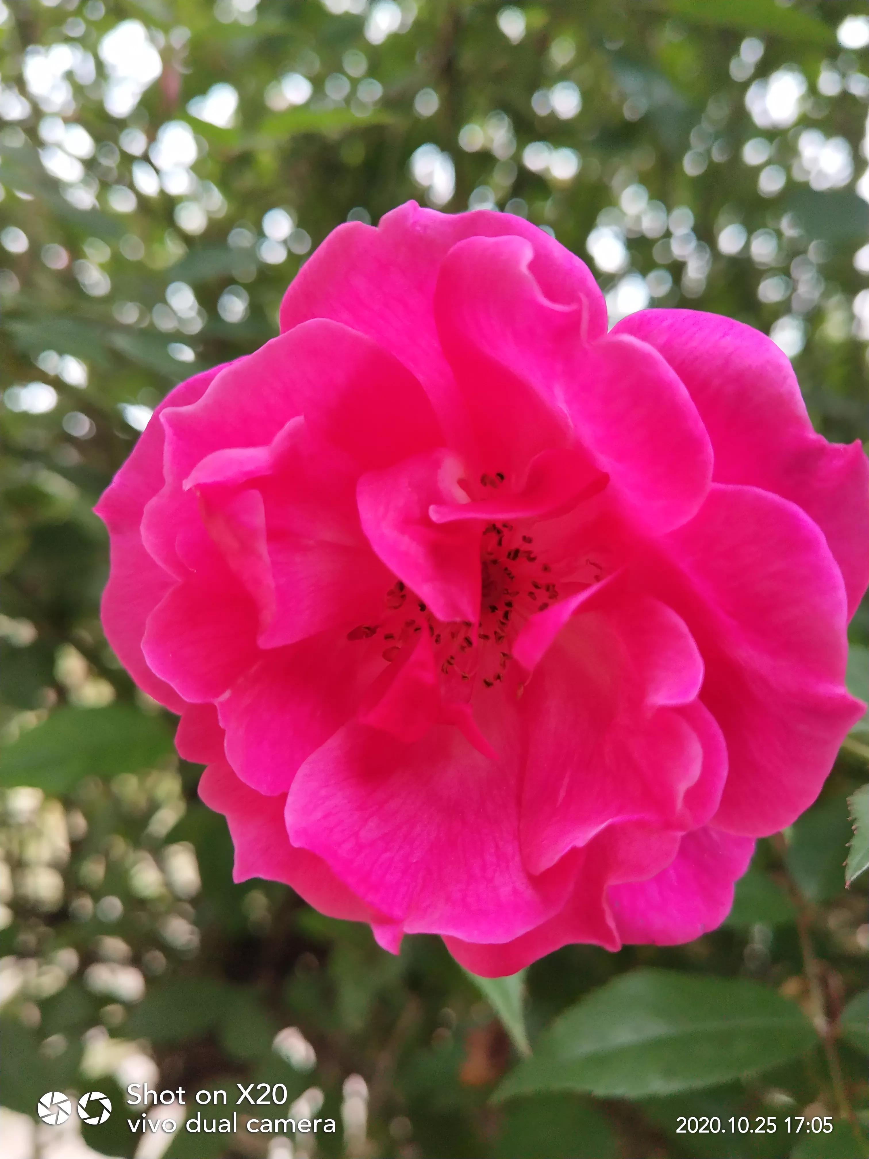 家有高中生家长该不该陪读,家有高中生家长的感悟