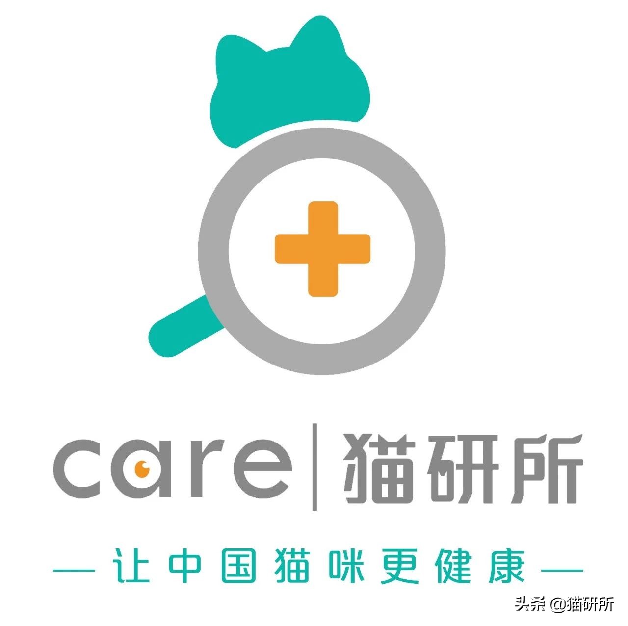 猫肉垫干裂不让人碰,猫肉垫黑色干裂