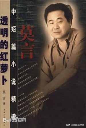 故事片透明的红萝卜完整版,透明的红萝卜有声小说免费