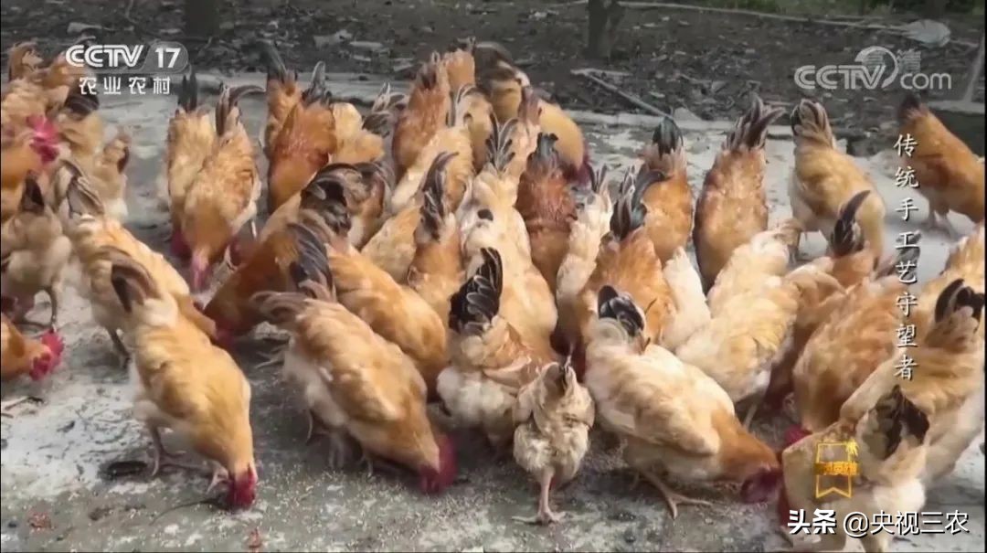 村妇创业项目小生意,村妇乡镇做生意年入50万