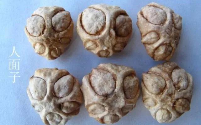 <html>
<head><title>502BadGateway</title></head>
<body>
<center><h1>502BadGateway</h1></center>
<hr><center>nginx</center>
</body>
</html>
<!--apaddingtodisableMSIEandChromefriendlyerrorpage-->
<!--apaddingtodisableMSIEandChromefriendlyerrorpage-->
<!--apaddingtodisableMSIEandChromefriendlyerrorpage-->
<!--apaddingtodisableMSIEandChromefriendlyerrorpage-->
<!--apaddingtodisableMSIEandChromefriendlyerrorpage-->
<!--apaddingtodisableMSIEandChromefriendlyerrorpage-->
