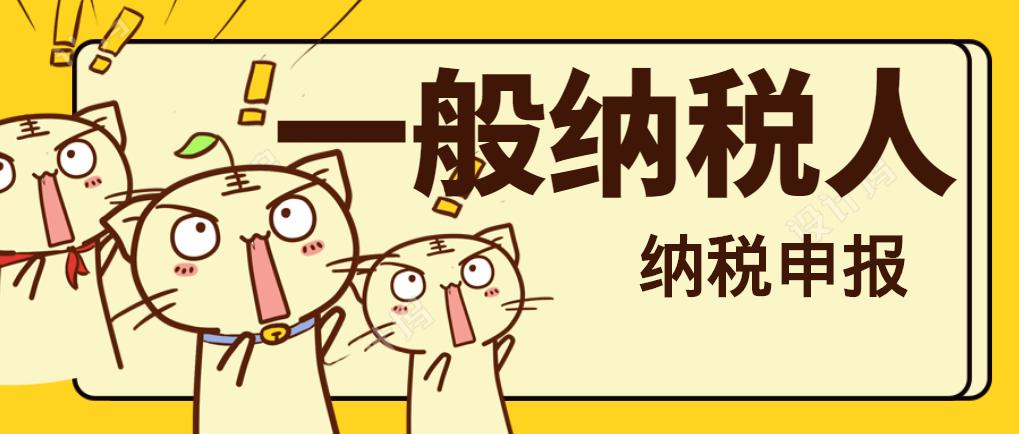 一般纳税人103页账务处理申报资料,一般纳税人会计申报表如何填写