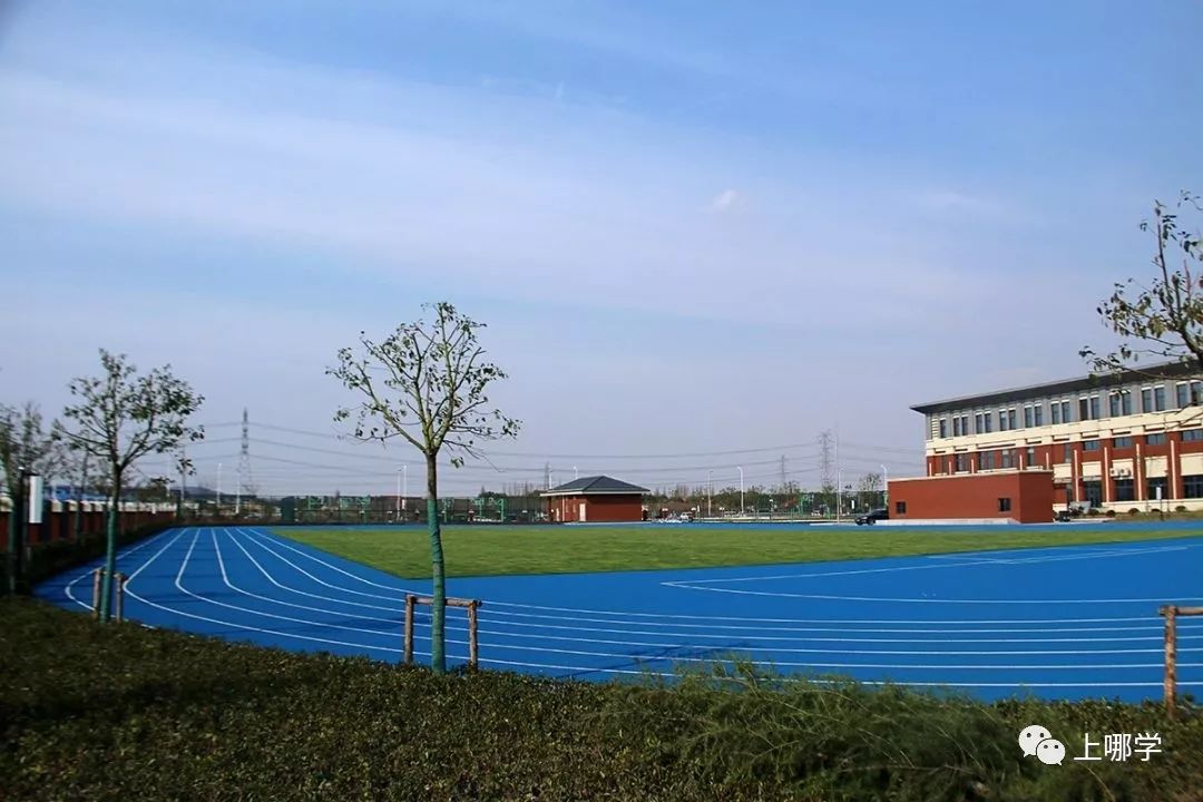 上海最好的十大民办初中,上海各区的顶级初中和一流初中