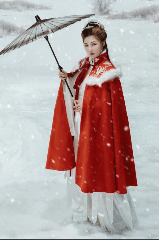 如何用相机拍出好看的雪景,下雪怎么拍出雪花照片