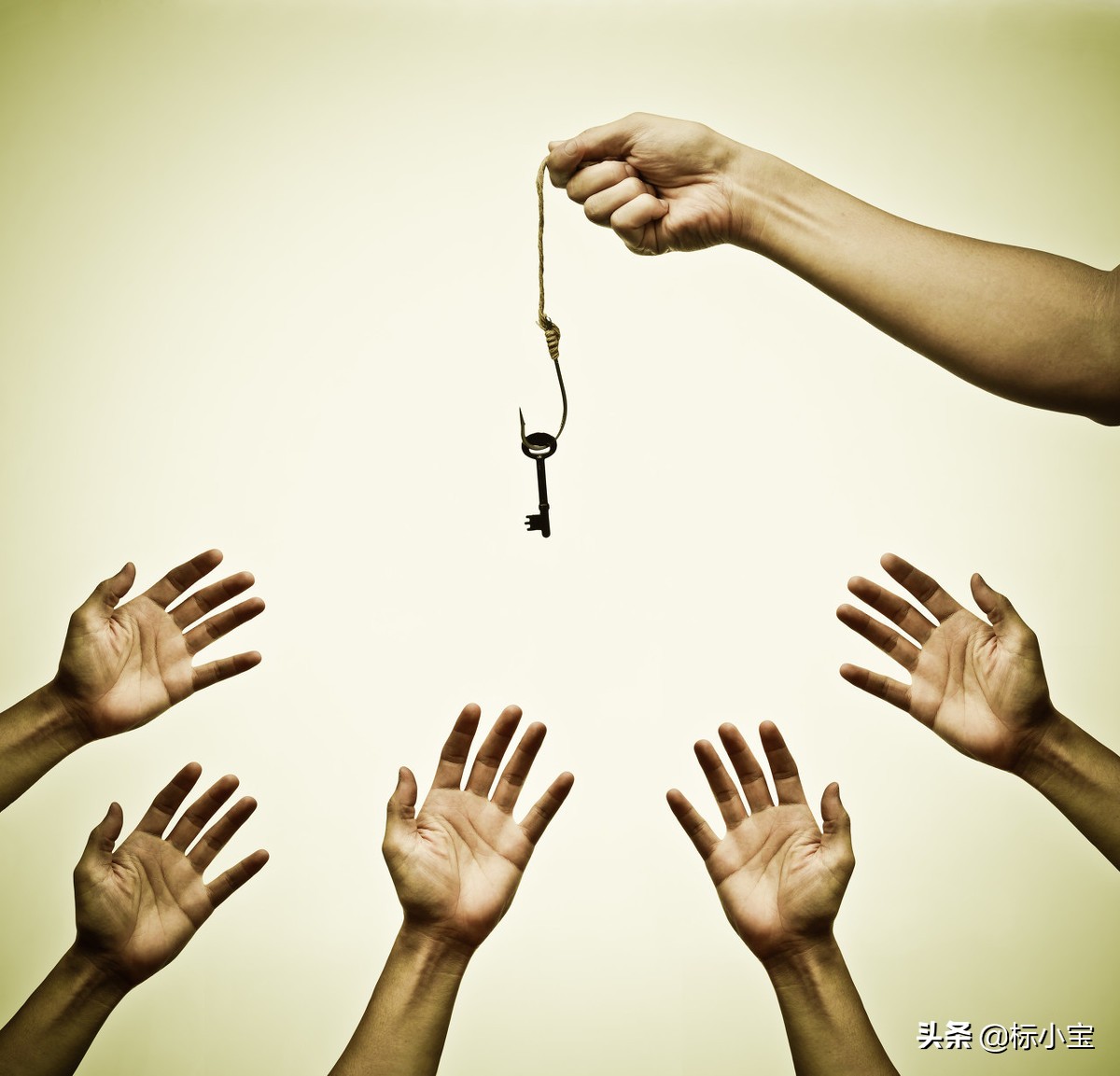 这个地方要起飞，这些项目正在招标，想做的来