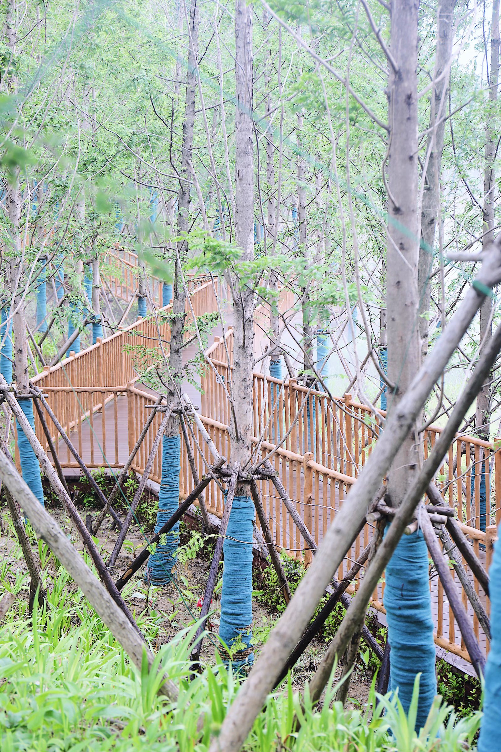 苏州乐园森林水世界几月份开始,乐园森林世界手游攻略